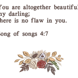 Song of Songs 4:7