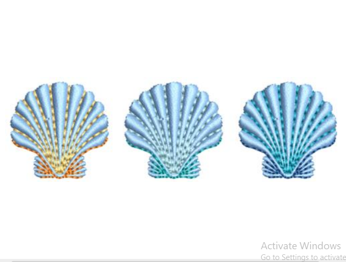 Scallop shells