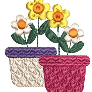 Potted Daisies