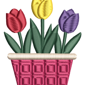 A Trio of Tulips