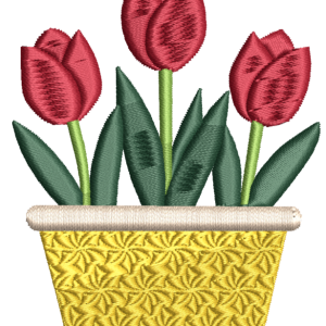 Three Red Tulips