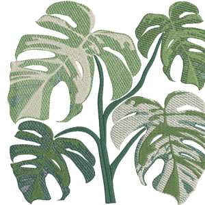 Tropical Monstera 1