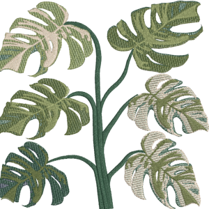 Tropical Monstera 2